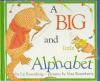 A_big_and_little_alphabet