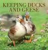 Keeping_ducks_and_geese
