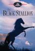 The_Black_stallion___DVD