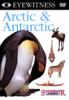 Arctic___Antarctic___DVD
