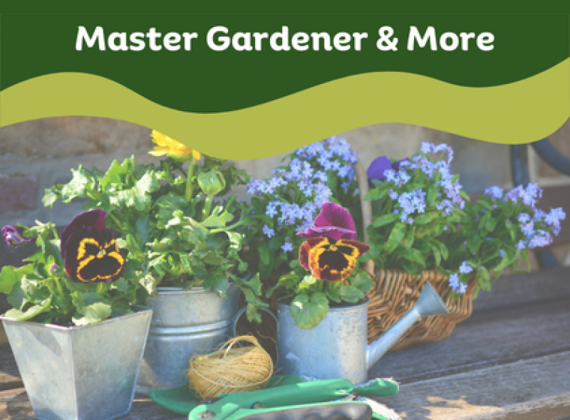 Master Gardener & More